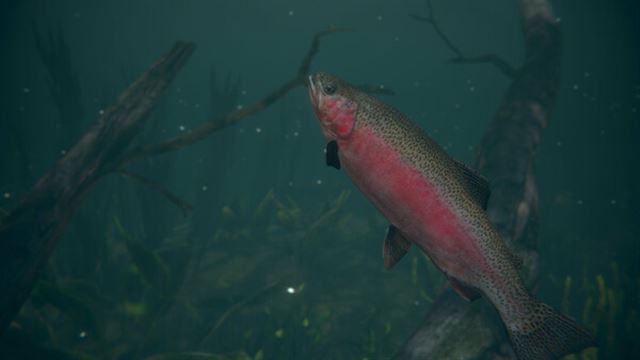 Hình ảnh trong game Ultimate Fishing Simulator 2-RUNE Hình ảnh trong game Ultimate Fishing Simulator 2-RUNE