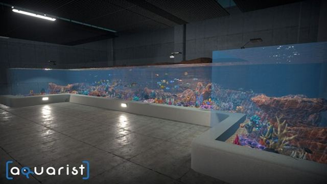 Hình ảnh trong game Aquarist v20241213-P2P Hình ảnh trong game Aquarist v20241213-P2P