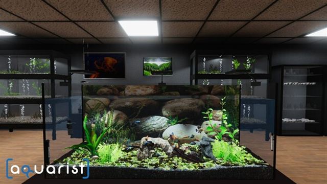 Hình ảnh trong game Aquarist v20241213-P2P Hình ảnh trong game Aquarist v20241213-P2P