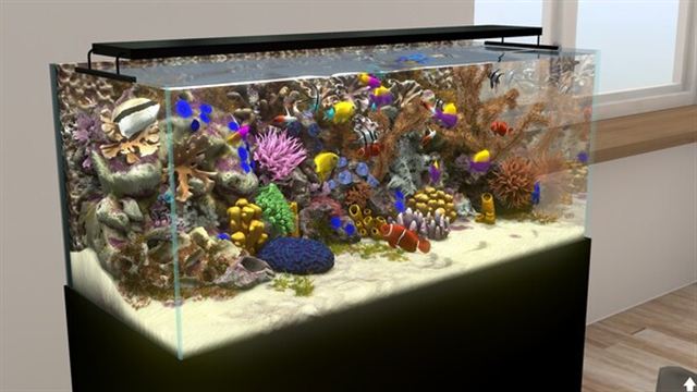 Hình ảnh trong game Behind Glass Aquarium Simulator v1.1-P2P Hình ảnh trong game Behind Glass Aquarium Simulator v1.1-P2P