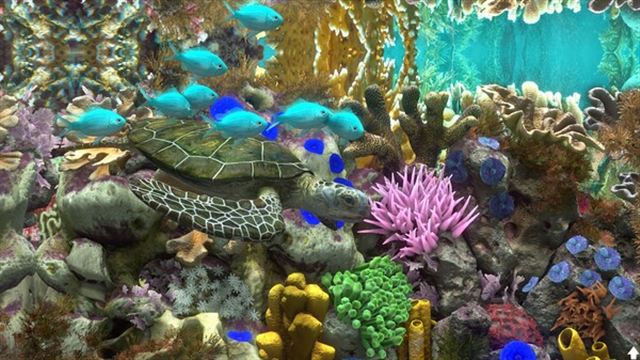 Hình ảnh trong game Behind Glass Aquarium Simulator v1.1-P2P Hình ảnh trong game Behind Glass Aquarium Simulator v1.1-P2P