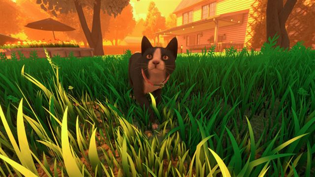 Hình ảnh trong game Copycat v1.0.6-P2P Hình ảnh trong game Copycat v1.0.6-P2P
