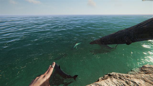 Hình ảnh trong game Project Castaway Early Access Hình ảnh trong game Project Castaway Early Access