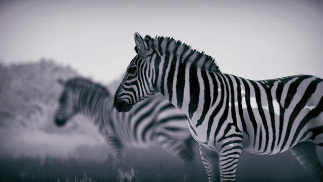 Hình ảnh trong game Seclusa-TENOKE Hình ảnh trong game Seclusa-TENOKE