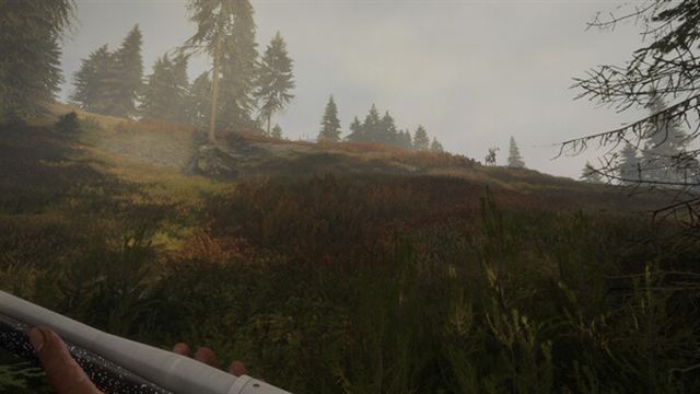 Hình ảnh trong game theHunter Call of the Wild v2989309-P2P Hình ảnh trong game theHunter Call of the Wild v2989309-P2P
