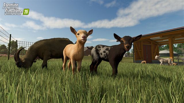 Hình ảnh trong game Farming Simulator 25 v1.7.0.0-P2P Hình ảnh trong game Farming Simulator 25 v1.7.0.0-P2P