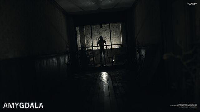 Hình ảnh trong game Amygdala Enhanced-SKIDROW Hình ảnh trong game Amygdala Enhanced-SKIDROW