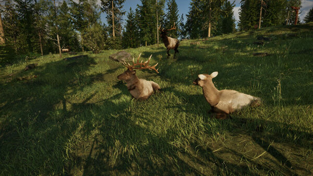 Hình ảnh trong game Rangers Path National Park Simulator Early Access