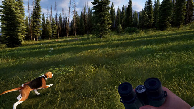 Hình ảnh trong game Way of the Hunter 2 v0.1.1.191983 Early Access Hình ảnh trong game Way of the Hunter 2 v0.1.1.191983 Early Access