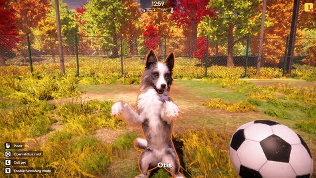 Hình ảnh trong game Animal Shelter 2 v1.0.32-P2P Hình ảnh trong game Animal Shelter 2 v1.0.32-P2P