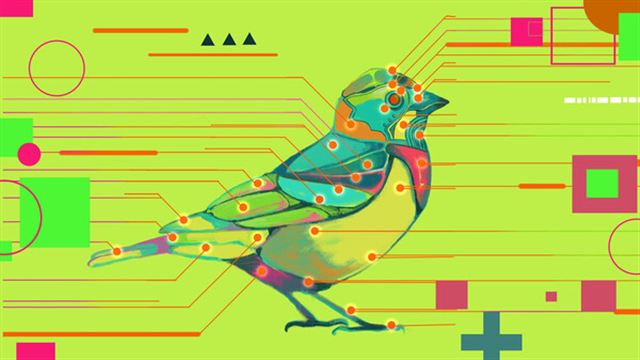 Hình ảnh trong game Avian Enigma-TENOKE Hình ảnh trong game Avian Enigma-TENOKE