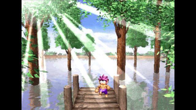 Hình ảnh trong game Tomba Special Edition-TiNYiSO Hình ảnh trong game Tomba Special Edition-TiNYiSO