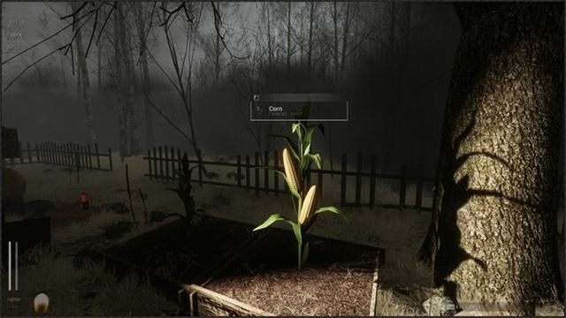Hình ảnh trong game Descending The Woods Early Access Hình ảnh trong game Descending The Woods Early Access