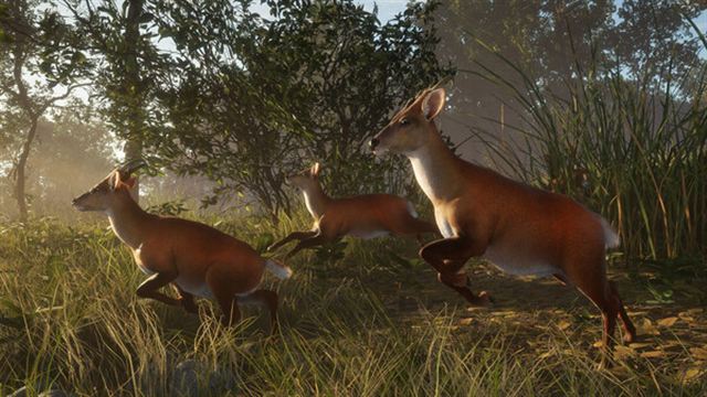 Hình ảnh trong game theHunter CoTW Sundarpatan Hunting Reserve-TENOKE Hình ảnh trong game theHunter CoTW Sundarpatan Hunting Reserve-TENOKE