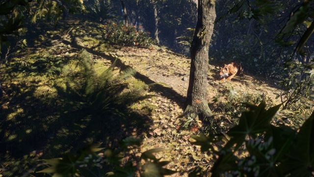 Hình ảnh trong game theHunter CoTW Sundarpatan Hunting Reserve-TENOKE Hình ảnh trong game theHunter CoTW Sundarpatan Hunting Reserve-TENOKE