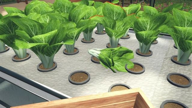 Hình ảnh trong game Hydroponics Farm and Store Simulator Early Access Hình ảnh trong game Hydroponics Farm and Store Simulator Early Access