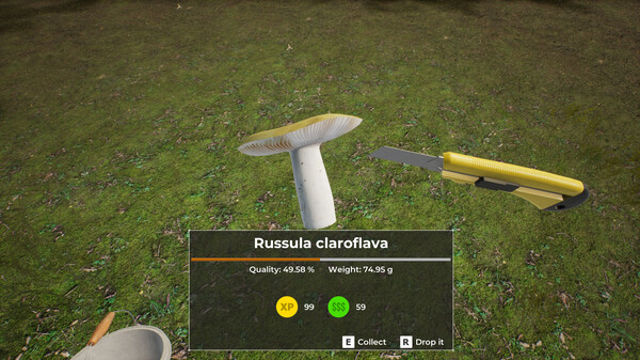 Hình ảnh trong game Mushroom Hunter World-TENOKE Hình ảnh trong game Mushroom Hunter World-TENOKE