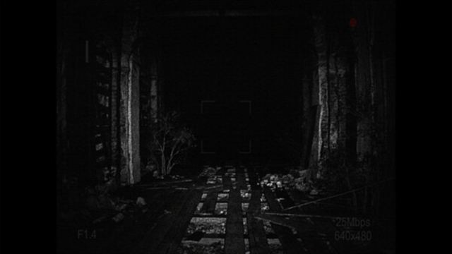 Hình ảnh trong game REC Desolation-TENOKE Hình ảnh trong game REC Desolation-TENOKE