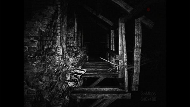 Hình ảnh trong game REC Desolation-TENOKE Hình ảnh trong game REC Desolation-TENOKE