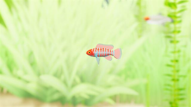 Hình ảnh trong game Fish Game Indian Subcontinent Fish Pack 1-TENOKE Hình ảnh trong game Fish Game Indian Subcontinent Fish Pack 1-TENOKE