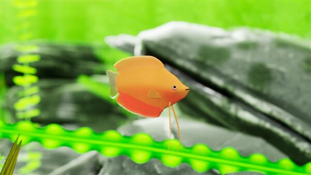 Hình ảnh trong game Fish Game Indian Subcontinent Fish Pack 1-TENOKE Hình ảnh trong game Fish Game Indian Subcontinent Fish Pack 1-TENOKE