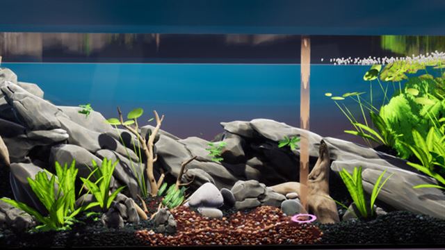 Hình ảnh trong game Fish Game Substrate Variety Pack 1-TENOKE Hình ảnh trong game Fish Game Substrate Variety Pack 1-TENOKE