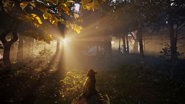 Hình ảnh trong game Adorable Adventures-P2P