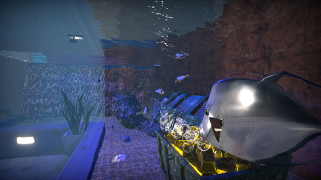 Hình ảnh trong game Aquarist American Fish-TENOKE Hình ảnh trong game Aquarist American Fish-TENOKE