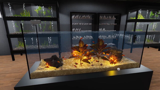 Hình ảnh trong game Aquarist American Fish-TENOKE Hình ảnh trong game Aquarist American Fish-TENOKE