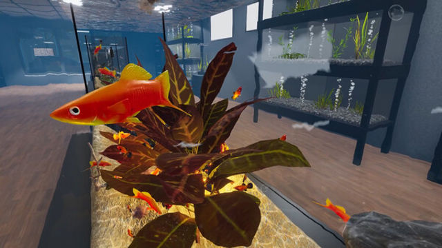 Hình ảnh trong game Aquarist American Fish-TENOKE