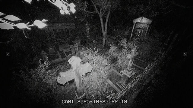 Hình ảnh trong game The Cemetery Shift-P2P Hình ảnh trong game The Cemetery Shift-P2P