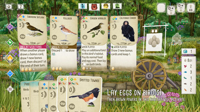 Hình ảnh trong game Wingspan Bird Pack British Birds-TENOKE Hình ảnh trong game Wingspan Bird Pack British Birds-TENOKE