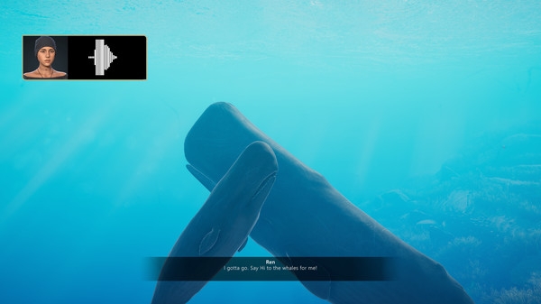Hình ảnh trong game Beyond Blue The Tropical Reef-RUNE Hình ảnh trong game Beyond Blue The Tropical Reef-RUNE