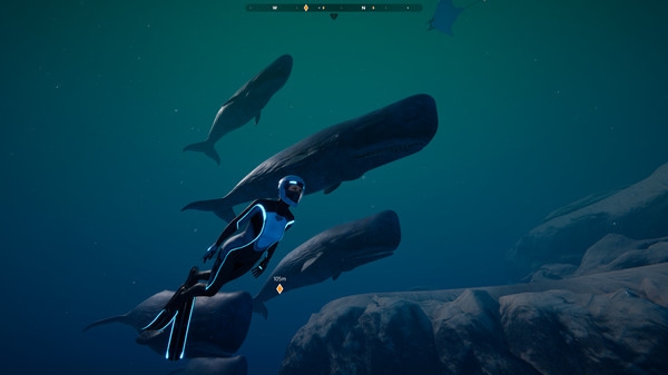 Hình ảnh trong game Beyond Blue v1.7.17798-P2P Hình ảnh trong game Beyond Blue v1.7.17798-P2P
