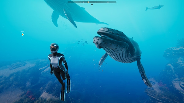 Hình ảnh trong game Beyond Blue v1.7.17798-P2P Hình ảnh trong game Beyond Blue v1.7.17798-P2P