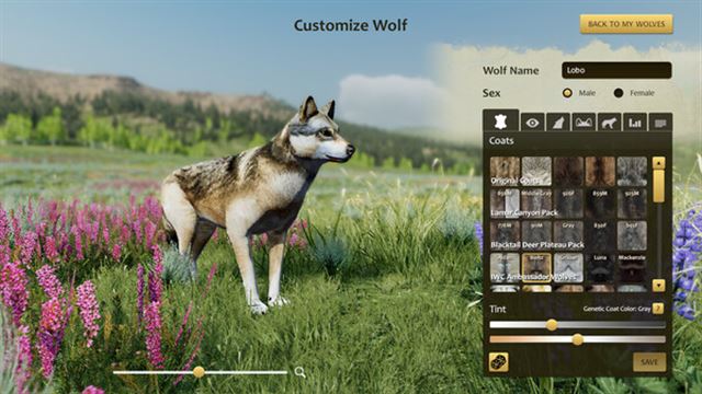 Hình ảnh trong game WolfQuest Anniversary Edition v2.0.3d-P2P