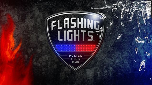 Bộ sưu tập game Flashing Lights - Police, Firefighting, Emergency Services (EMS) Simulator